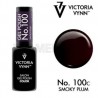 Gel Polish Victoria Vynn 100 Smoky Plum