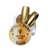 Poudre nail art Dust Gold 01 Or