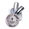 Poudre nail art Metallic Dust Silver 02 Argent